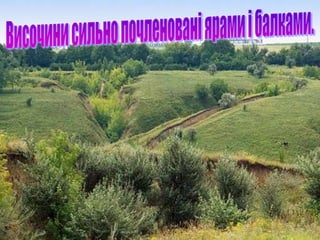 лісостеп | PPT