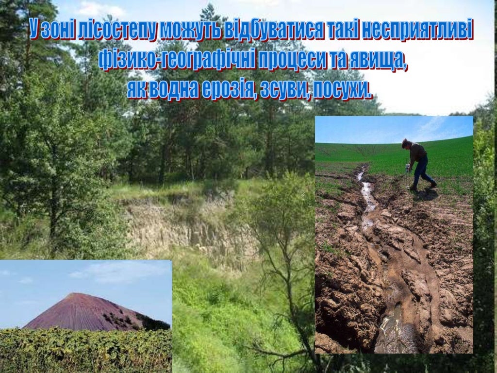 лісостеп