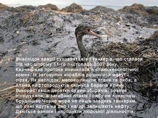 Внаслідок аварії суховантажів і танкерів, що сталася
під час шторму 11-го листопада 2007 року,
Керченська протока опинилася в стані «екологічної
коми». Із затонулих кораблів розлилися мазут і
сірка. Як наслідок, масово гинули птахи та риба, а
пляма нафтопродуктів сягнула берегів Криму.
Використавши десятки суден-збирачів, розлив
ліквідували, а загиблих птахів і рибу не повернеш.
Бруднішає Чорне море не лише завдяки танкерам,
що самі йдуть на дно і нагорі залишають нафту.
Даються взнаки і «продукти людської діяльності».
 