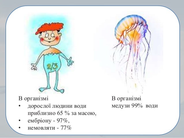 В організмі
• дорослої людини води
приблизно 65 % за масою,
• ембріону - 97%,
• немовляти - 77%
В організмі
медузи 99% води
 