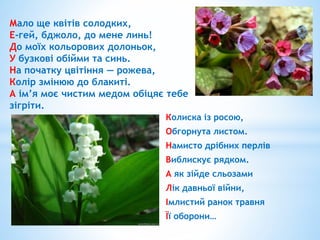 Мало ще квітів солодких,
Е-гей, бджоло, до мене линь!
До моїх кольорових долоньок,
У бузкові обійми та синь.
На початку цвітіння — рожева,
Колір змінюю до блакиті.
А ім’я моє чистим медом обіцяє тебе
зігріти.
Колиска із росою,
Обгорнута листом.
Намисто дрібних перлів
Виблискує рядком.
А як зійде сльозами
Лік давньої війни,
Імлистий ранок травня
Її оборони…
 