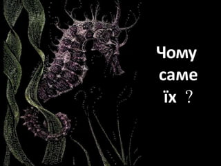 Чому
саме
їх 
 