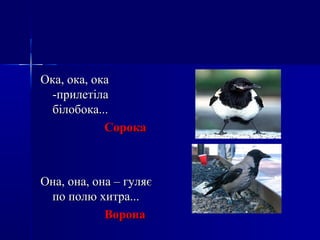 Ока, ока, окаОка, ока, ока
-прилетіла-прилетіла
білобока...білобока...
СорокаСорока
Она, она, она – гуляєОна, она, она – гуляє
по полю хитра...по полю хитра...
ВоронаВорона
 