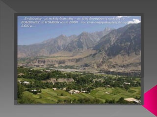 Η ΦΥΛΗ ΤΩΝ ΚΑΛΑΣ