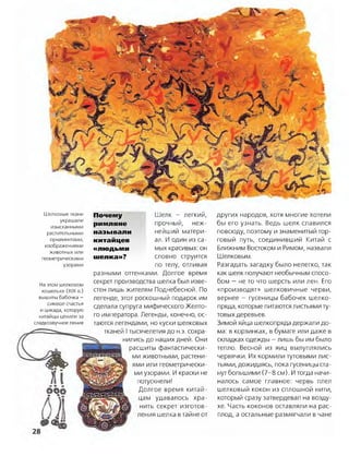 Шелковые ткани
украшали
изысканными
растительными
орнаментами,
изображениями
животных или
геометрическими
узорами
На этом шелковом
кошельке (XIX в.)
вышиты бабочка —
символ счастья
и цикада, которую
китайцы ценили за
сладкозвучное пение
Почему
римляне
называли
китайцев
«людьми
шелка»?
Шелк - легкий,
прочный, неж­
нейший матери­
ал. И один из са­
мых красивых: он
словно струится
по телу, отливая
разными оттенками. Долгое время
секрет производства шелка был изве­
стен лишь жителям Поднебесной. По
легенде, этот роскошный подарок им
сделала супруга мифического Желто­
го императора. Легенды, конечно, ос­
таются легендами, но куски шелковых
тканей Iтысячелетия до н.э. сохра­
нились до наших дней. Они
расшиты фантастически­
ми животными, растени­
ями или геометрически­
ми узорами. И краски не
потускнели!
Долгое время китай­
цам удавалось хра­
нить секрет изготов­
ления шелка втайне от
других народов, хотя многие хотели
бы его узнать. Ведь шелк славился
повсюду, поэтому и знаменитый тор­
говый путь, соединивший Китай с
Ближним Востоком и Римом, назвали
Шелковым.
Разгадать загадку было нелегко, так
как шелк получают необычным спосо­
бом - не то что шерсть или лен. Его
«производят» шелковичные черви,
вернее — гусеницы бабочек шелко­
пряда, которые питаются листьями ту­
товых деревьев.
Зимой яйца шелкопряда держали до­
ма: в корзинках, в бумаге или даже в
складках одежды —лишь бы им было
тепло. Весной из яиц вылуплялись
червячки. Их кормили тутовыми лис­
тьями, дожидаясь, пока гусеницы ста­
нут большими (7-8 см). Итогда начи­
налось самое главное: червь плел
шелковый кокон из сплошной нити,
который сразу затвердевал на возду­
хе. Часть коконов оставляли на рас­
плод, а остальные размягчали в чане
 