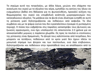 Το στρώμα αυτό του πετρελαίου, με άλλα λόγια, μειώνει στο ελάχιστο την
ανανέωση του νερού με το οξυγόνο του αέρα, εμποδίζει τις ακτίνες του ήλιου να
εισχωρήσουν βαθιά στη θάλασσα για τη φωτοσύνθεση, προκαλεί αύξηση της
θερμοκρασίας του νερού και υπερβολική ανάπτυξη μικροοργανισμών που
καταναλώνουν οξυγόνο. Τα μαλάκια και τα φυτά είναι ιδιαίτερα ευπαθή σε αυτή
τη ρύπανση γιατί δηλητηριάζονται και πεθαίνουν από ασφυξία. Το ίδιο
συμβαίνει και με τα ψάρια εκείνα που δεν εγκαταλείπουν έγκαιρα τη ρυπασμένη
περιοχή. Η πίσσα που εκβράζεται στις παραλίες καταστρέφει τους φυτικούς και
ζωικούς οργανισμούς, ενώ έχει υπολογιστεί ότι απαιτούνται 2-3 χρόνια για να
αποκατασταθεί μερικώς η παράκτια χλωρίδα. Ως προς τα πουλιά οι επιπτώσεις
της ρύπανσης είναι δραματικές. Τα φτερά τους καλύπτονται από πετρέλαιο, δεν
μπορούν να πετάξουν, πεθαίνουν από το κρύο γιατί δεν έχουν πλέον το
μονωτικό στρώμα των φτερών και των πούπουλων, ενώ όσα επιβιώνουν,
δηλητηριάζονται και πεθαίνουν στην προσπάθειά τους να απαλλαγούν από το
πετρέλαιο.
 