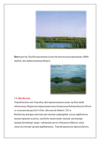 Қоға-қыстау. Қызбелауылыныңсолтүстік-шығысындаорналасқан. Шөбі
шүйгін, жаз жайылымыныңаймағы.
1.3. Қызбелтау
Торғайқолаты мен Торғайүстірті аралығындағы дөңес тау.Қостанай
облысында, Наурызым қорығыныңоңтүстікжағында бойлықбағытта 60 км-
ге созылыпжатыр.Ені5-15км, абсолюттік биіктігі 232 м.
Қызбелтау жоғары олигоценмен миоцен дәуірлерінің сазды-карбонатты
жыныстарынантүзілген; дөңбетін палеогеннің теңіздік шөгінділері
жапқан.Беткейлері жыра–сайлапмен қатты тілімденген.Шығыс және
оңтүстік етектері құлама жарбақтанып, Торғайқақпасына тіреледі.Бетеге,
 