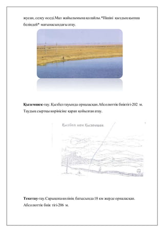 жусан, селеу өседі.Мал жайылымынақолайлы.*Пішіні қыздыңқыпша
беліндей* мағынасындағы атау.
Қыземшек-тау. Қызбелтауында орналасқан.Абсолюттік биіктігі-202 м.
Таудың сыртқы көрінісіне қарап қойылғанатау.
Текетау-тау.Сарықопакөлінің батысында18 км жерде орналасқан.
Абсолюттік биік тігі-206 м.
 