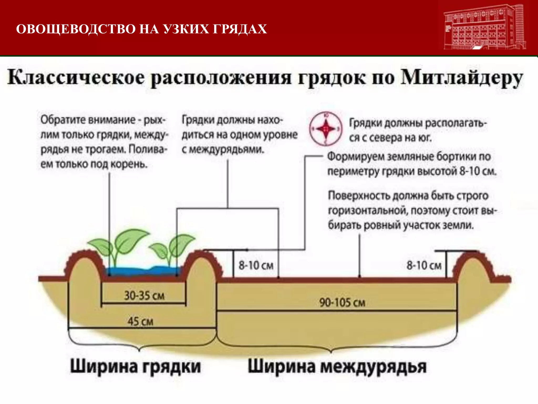 ОВОЩЕВОДСТВО НА УЗКИХ ГРЯДАХ
 