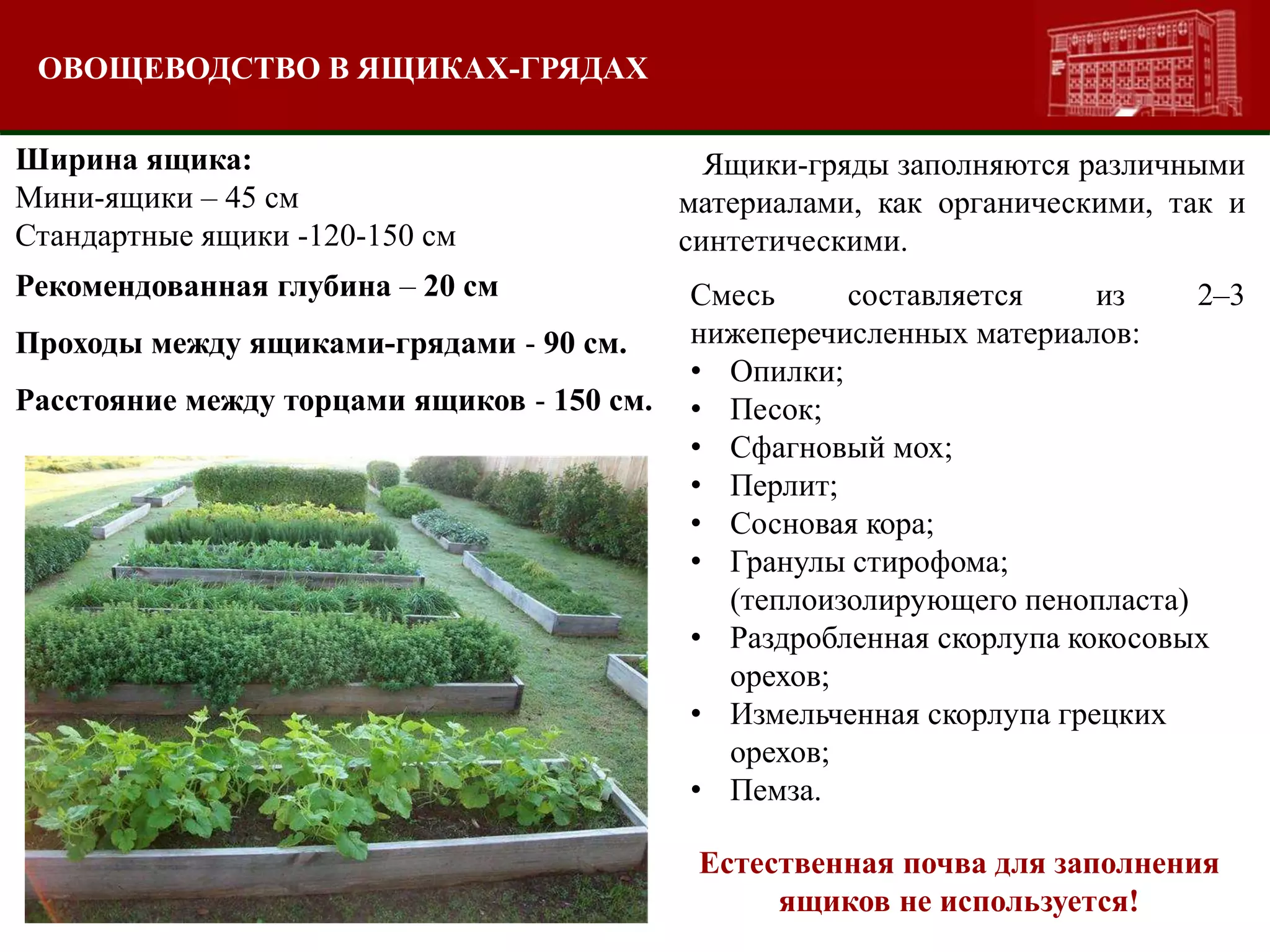 ОВОЩЕВОДСТВО В ЯЩИКАХ-ГРЯДАХ
Ширина ящика:
Мини-ящики – 45 см
Стандартные ящики -120-150 см
Рекомендованная глубина – 20 см
Проходы между ящиками-грядами - 90 см.
Расстояние между торцами ящиков - 150 см.
Ящики-гряды заполняются различными
материалами, как органическими, так и
синтетическими.
Смесь составляется из 2–3
нижеперечисленных материалов:
• Опилки;
• Песок;
• Сфагновый мох;
• Перлит;
• Сосновая кора;
• Гранулы стирофома;
(теплоизолирующего пенопласта)
• Раздробленная скорлупа кокосовых
орехов;
• Измельченная скорлупа грецких
орехов;
• Пемза.
Естественная почва для заполнения
ящиков не используется!
 