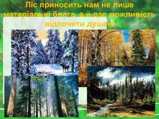 Ліс приносить нам не лише
матеріальні блага, а й дає можливість
відпочити душею
 