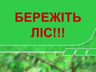 БЕРЕЖІТЬ
ЛІС!!!
 