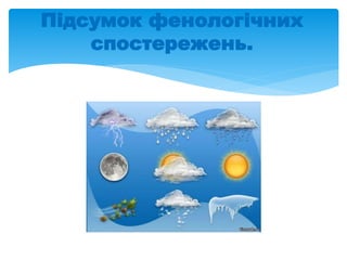 Підсумок фенологічних
спостережень.
 
