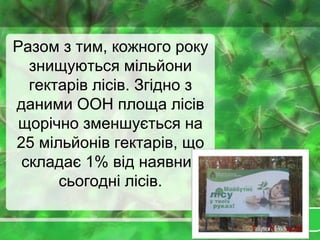Разом з тим, кожного року
знищуються мільйони
гектарів лісів. Згідно з
даними ООН площа лісів
щорічно зменшується на
25 мільйонів гектарів, що
складає 1% від наявних
сьогодні лісів.
 