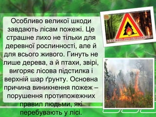 Особливо великої шкоди
завдають лісам пожежі. Це
страшне лихо не тільки для
деревної рослинності, але й
для всього живого. Гинуть не
лише дерева, а й птахи, звірі,
вигоряє лісова підстилка і
верхній шар ґрунту. Основна
причина виникнення пожеж –
порушення протипожежних
правил людьми, які
перебувають у лісі.
 