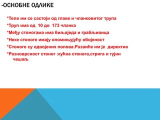 -ОСНОБНЕ ОДЛИКЕ
*Тело им се састоји од главе и чланковитог трупа
*Труп има од 10 до 173 чланка
*Међу стоногама има биљоједа и грабљивица
*Неке стоноге имају опомињујућу обојеност
*Стоноге су одвојених полова.Развиће им је директно
*Разноврсност стоног :кућна стонога,стрига и гујин
чешаљ
 