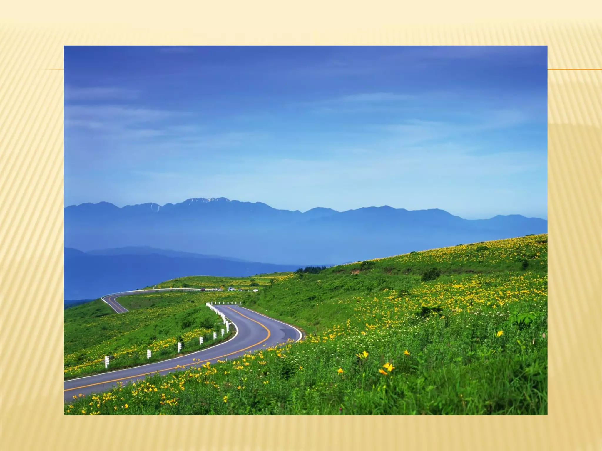 การเขียนที่บรรลุวัตถุประสงค์