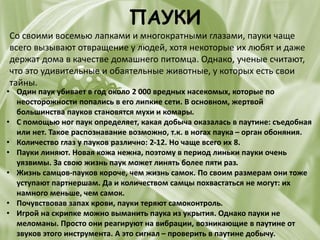ПАУКИ
Со своими восемью лапками и многократными глазами, пауки чаще
всего вызывают отвращение у людей, хотя некоторые их любят и даже
держат дома в качестве домашнего питомца. Однако, ученые считают,
что это удивительные и обаятельные животные, у которых есть свои
тайны.
• Один паук убивает в год около 2 000 вредных насекомых, которые по
неосторожности попались в его липкие сети. В основном, жертвой
большинства пауков становятся мухи и комары.
• С помощью ног паук определяет, какая добыча оказалась в паутине: съедобная
или нет. Такое распознавание возможно, т.к. в ногах паука – орган обоняния.
• Количество глаз у пауков различно: 2-12. Но чаще всего их 8.
• Пауки линяют. Новая кожа нежна, поэтому в период линьки пауки очень
уязвимы. За свою жизнь паук может линять более пяти раз.
• Жизнь самцов-пауков короче, чем жизнь самок. По своим размерам они тоже
уступают партнершам. Да и количеством самцы похвастаться не могут: их
намного меньше, чем самок.
• Почувствовав запах крови, пауки теряют самоконтроль.
• Игрой на скрипке можно выманить паука из укрытия. Однако пауки не
меломаны. Просто они реагируют на вибрации, возникающие в паутине от
звуков этого инструмента. А это сигнал – проверить в паутине добычу.
 