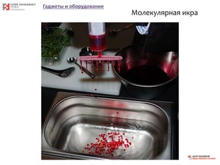 Гаджеты и оборудование
Молекулярная икра
 