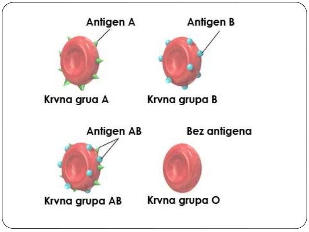 Krvne grupe