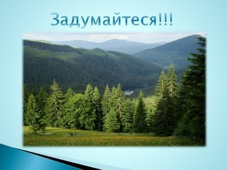 збереження електроенергії у побуті