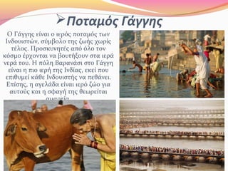 Ποταμός Γάγγης
Ο Γάγγης είναι ο ιερός ποταμός των
Ινδουιστών, σύμβολο της ζωής χωρίς
τέλος. Προσκυνητές από όλο τον
κόσμο έρχονται να βουτήξουν στα ιερά
νερά του. Η πόλη Βαρανάσι στο Γάγγη
είναι η πιο ιερή της Ινδίας, εκεί που
επιθυμεί κάθε Ινδουιστής να πεθάνει.
Επίσης, η αγελάδα είναι ιερό ζώο για
αυτούς και η σφαγή της θεωρείται
αμαρτία.
 