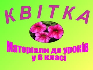 будова квітки | PPT