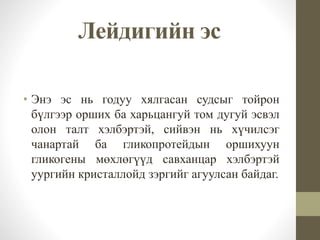 Лейдигийн эс
• Энэ эс нь годуу хялгасан судсыг тойрон
бүлгээр орших ба харьцангуй том дугуй эсвэл
олон талт хэлбэртэй, сийвэн нь хүчилсэг
чанартай ба гликопротейдын оршихуун
гликогены мөхлөгүүд савханцар хэлбэртэй
уургийн кристаллойд зэргийг агуулсан байдаг.
 