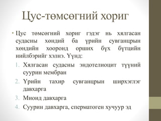 Цус-төмсөгний хориг
• Цус төмсөгний хориг гэдэг нь хялгасан
судасны хөндий ба үрийн сувганцрын
хөндийн хооронд орших бүх бүтцийн
нийлбэрийг хэлнэ. Үүнд:
1. Хялгасан судасны эндотелиоцит түүний
суурин мембран
2. Үрийн тахир сувганцрын ширхэглэг
давхарга
3. Миоид давхарга
4. Суурин давхарга, сперматоген хучуур эд
 