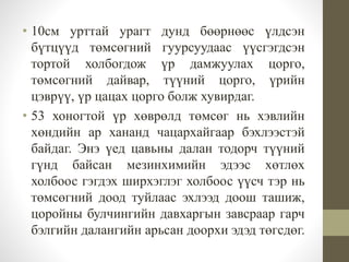 • 10см урттай урагт дунд бөөрнөөс үлдсэн
бүтцүүд төмсөгний гуурсуудаас үүсгэгдсэн
тортой холбогдож үр дамжуулах цорго,
төмсөгний дайвар, түүний цорго, үрийн
цэврүү, үр цацах цорго болж хувирдаг.
• 53 хоногтой үр хөврөлд төмсөг нь хэвлийн
хөндийн ар хананд чацархайгаар бэхлээстэй
байдаг. Энэ үед цавьны далан тодорч түүний
гүнд байсан мезинхимийн эдээс хөтлөх
холбоос гэгдэх ширхэглэг холбоос үүсч тэр нь
төмсөгний доод туйлаас эхлээд доош ташиж,
цоройны булчингийн давхаргын завсраар гарч
бэлгийн далангийн арьсан доорхи эдэд төгсдөг.
 