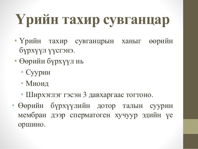Төмсөг түүний үүсэл хөгжил, макро микро бүтэц