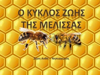 Ο ΚΥΚΛΟΣ ΖΩΗΣ
ΤΗΣ ΜΕΛΙΣΣΑΣ
Ζήση Ανθή – Νηπιαγωγός
 