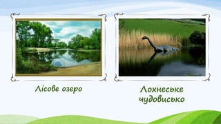 Лісове озеро Лохнеське
чудовисько
 