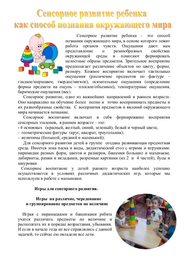 Сенсорно моторное развитие это