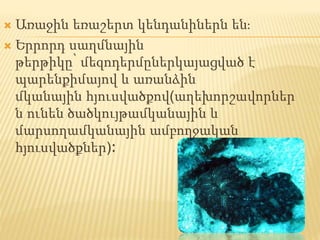 Առաջին եռաշերտ կենդանիներն են։
 Երրորդ սաղմնային
թերթիկը՝ մեզոդերմըներկայացված է
պարենքիմայով և առանձին
մկանային հյուսվածքով(աղեխորշավորներ
ն ունեն ծածկույթամկանային և
մարսողամկանային ամբողջական
հյուսվածքներ)։
 