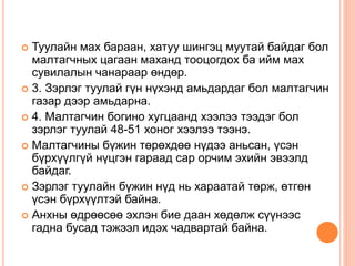 туулайн биологийн онцлог | PPT