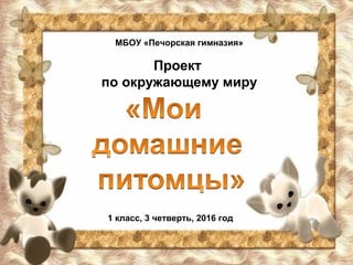 МБОУ «Печорская гимназия»
Проект
по окружающему миру
1 класс, 3 четверть, 2016 год