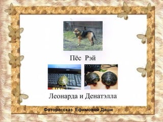 Фоторассказ Ефимовой Даши