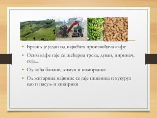 Бразил | PPT