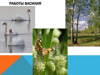 РАБОТЫ ВАСИЛИЯ
 