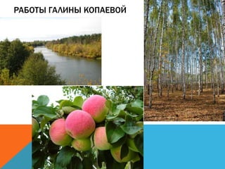 РАБОТЫ ГАЛИНЫ КОПАЕВОЙ
 