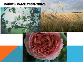 РАБОТЫ ОЛЬГИ ТВЕРИТИНОЙ
 