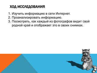 ХОД ИССЛЕДОВАНИЯ
1. Изучить информацию в сети Интернет.
2. Проанализировать информацию.
3. Посмотреть, как каждый из фотографов видит свой
родной край и отображает это в своих снимках.
 