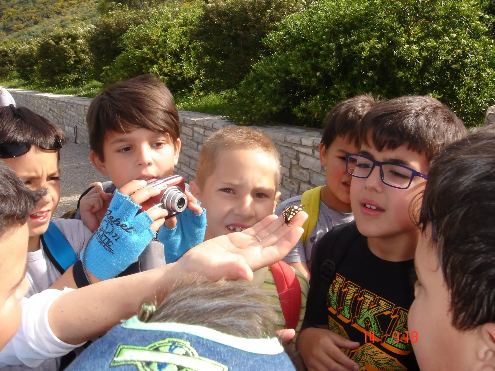 Στην Πλευρώνα