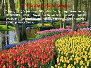 ΑΞΙΟΘΕΑΤΑ ΣΤΗΝ ΟΛΛΑΝΔΙΑ
Όποιος ταξιδέψει στην Ολλανδία θα έχει την ευκαιρία να
επισκεφθεί κάθε λογής μέρη,μουσεία μεγάλα πάρκα
αναψυχής, ενδιαφέρουσες πόλεις, κοσμοπολίτικες παραλίες
και όμορφους κήπους.
 