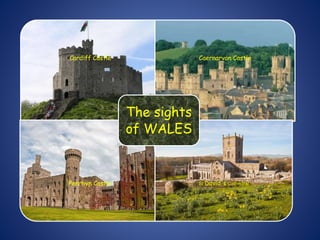 Cardiff Castle Caernarvon Castle
Penrhyn Castle St David's Cathedral
The sights
of WALES
 