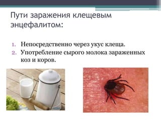 Пути заражения клещевым
энцефалитом:
1. Непосредственно через укус клеща.
2. Употребление сырого молока зараженных
коз и коров.
 