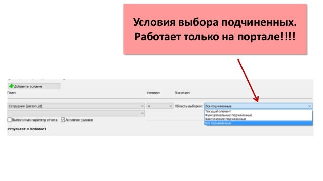 Генератор отчетов болид