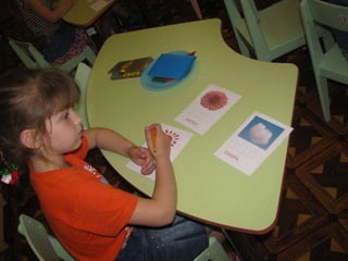 щоб розумним виростати – треба все на світі знати