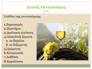 Λευκή Οινοποίηση
Στάδια της οινοποίησης
1.Εκραγισμός
2.Πιεστήριο
3.Διαύγαση γλεύκους
4.Αλκοολική ζύμωση
α. σε βαρέλια
β. σε δεξαμενές
5.Ωρίμανση
6.Κατεργασία
7.Διήθηση
8.Εμφιάλωση
 
